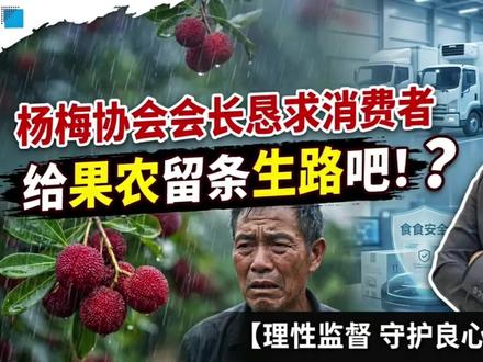 杨梅协会会长恳求给条生路!一人“下药”,凭啥10果农买单? #青年创作者成长计划 #阳哥分享 #社会热点