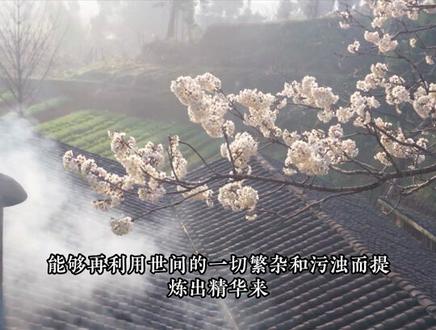 什么是真正的修行之人?通过人世间的种种感受而总结其好坏、善恶、黑白,能够再利用世间的一切繁杂和污浊而提炼出精华来#修行 #修心 #觉悟 #悟人生之道