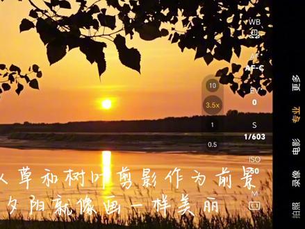 手机专业模式拍摄教学,快速掌握夕阳拍摄技巧,荣耀Magic5Pro录屏实拍。
#手机专业模式 #手机拍摄技巧 #荣耀magic5 #夕阳怎么拍照 #专业模式
