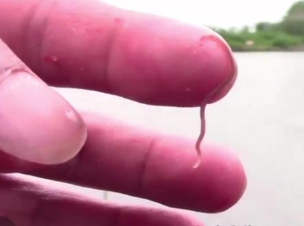 #涨知识 #传递正能量 #科普 @抖音小助手