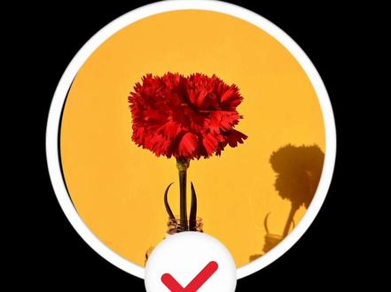 一分钟解决一个问题
第二十六集|圆、椭圆、双曲线切线方程#每天跟我涨知识 #数学思维 #数学 #单招 #先定一个小目标