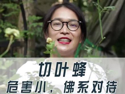 叶子被切成半圆月状,那是切叶蜂来了#切叶蜂 #轻知识计划 @抖音小助手