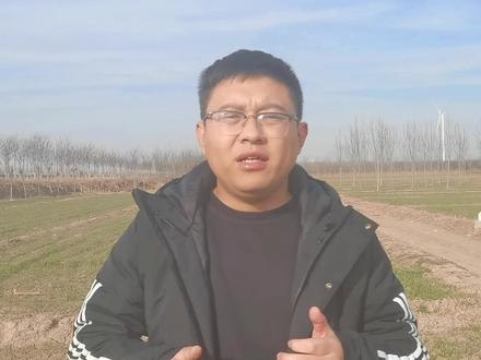 农谚:大雪晴天,立春雪多,预示着今年是暖冬?雨水少?