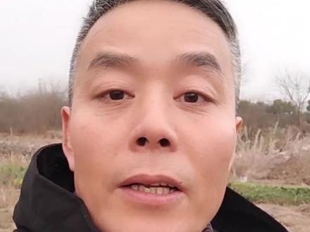 年味儿越来越淡,原因是否有同感?