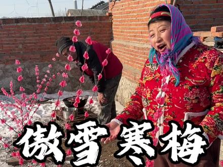 带你们东北的人造傲雪寒梅多好看#三农 #乡村 #新农人 #蜡梅花
