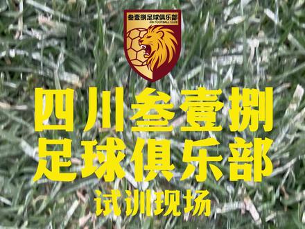 四川叁壹捌足球俱乐部试训现场 捌方聚势,壹队向前,四川叁壹捌,为蜀而战!#足球 #四川叁壹捌足球俱乐部