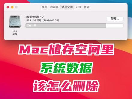 Mac储存空间里的“系统数据”(其他),到底该怎么删除?#macbook使用技巧 #实用app安利 #苹果电脑 #macbookpro #macbookair