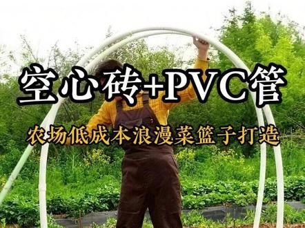 空心砖/红砖+PVC管,就能打造一个兼具“颜值+实用” 的小菜园。PVC管连廊,可以当爬藤架,让瓜果蔬菜沿着支架生长,形成一道独特的瓜果连廊风景线。也可以当做花架,让藤本月季,蓝雪花之类,交织成粉蓝梦幻花廊#规划设计 #农场日记 #抖音助农 #农场规划 #我的乡村生活