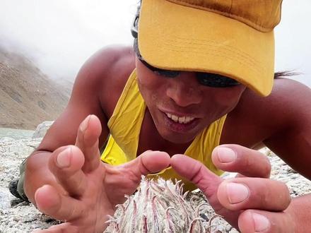 在冰川脚下发现雪莲花#和同频的人一起看世界