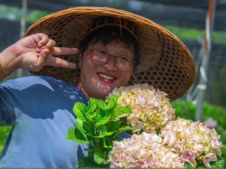 绣球魔幻海洋,花色仙气每天变#绣球花 #甜蜜生活家 #海蒂的花园 @抖音小助手