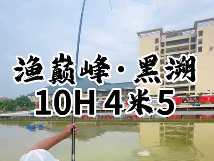 渔巅峰 黑溯10H 南方比赛黑坑前期抢鱼 北方大炮中后期@渔巅峰威峰户外专卖店 #渔巅峰 #渔巅峰黑溯 #渔巅峰极溯 #钓鱼 #原来钓鱼才是抖音运动顶流