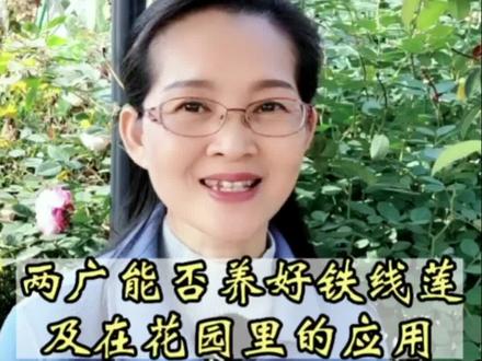 在两广能养好铁线莲吗?在花园里如何应用?#花园实例#花卉绿植 #爱生活爱养花 #铁线莲 #一花一草一世界