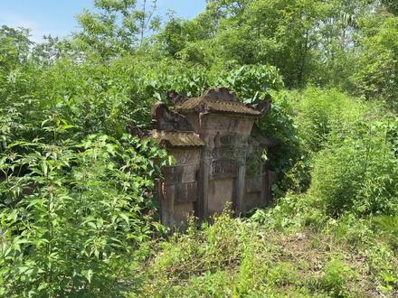 川渝到处是“湖广填四川”的移民史,他祖上从粤东来西蜀!