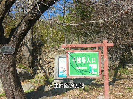 秋天看银杏,河南洛阳观赏千年银杏林的最佳打卡地——洛阳嵩县白河镇下寺沟村#感受大自然的气息和美景 #远离城市的喧嚣 #千年银杏古树 #旅行推荐官 #原来银杏叶最懂秋