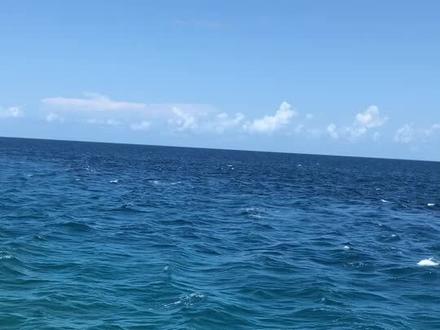 浅海和深海的分界线 太漂亮