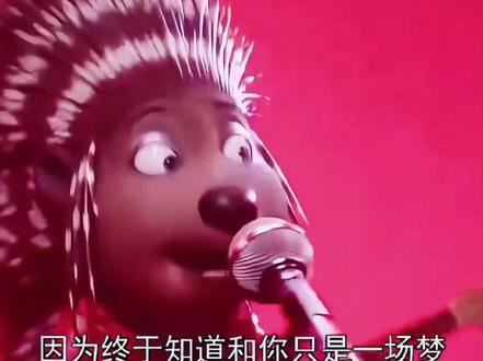 #欢乐好声音 世界上版权最贵的动画你们看过吗?