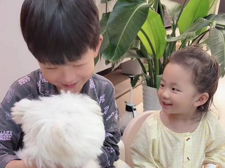 今天由兄妹两个介绍我们家的新成员~#人类幼崽 #兄妹 #二胎 #王富美儿