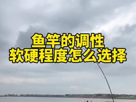 鱼竿的调性软硬程度怎么选择#钓鱼 #原来钓鱼才是抖音运动顶流 #钓鱼知识 #手感好腰力足 #鱼竿怎么选择