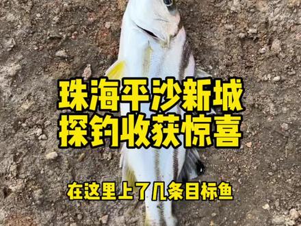 珠海探钓,又发现一个好位置,当然要分享给钓友们#路亚 #钓鱼 #珠海 #海钓 #原来钓鱼才是抖音运动顶流