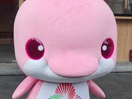 我去不早说黄金比例是舞担
人类对黄金比例鸡的舞蹈开发不足1%,看这个黄金比例鸡16G冲浪,抖舞手拿把掐。#大湾鸡 #宝宝鸡 #全运会吉祥物 #萌 #舞担