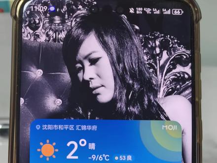 纯血鸿蒙6.0.0.130版本SP15,提升上网速度