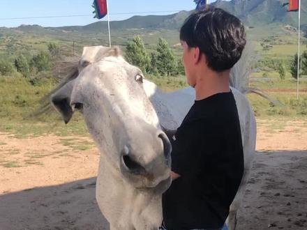 他看到我就走了过来~感动~在我的世界里~是兄弟,挚友,灵魂伴侣,他永远不会抛弃我❤️