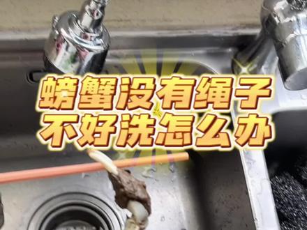 螃蟹大闸蟹绳子掉了,怎么洗?给他夹个筷子🥢#大闸蟹 #妈呀太香了 #妙招分享
