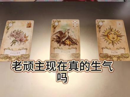 老顽主现在真的生气吗,老顽主和顽主后续结局如何#顽主 #时尚顽主 #erd #雷诺曼 @时尚顽主 我自己好奇所以问了,欢迎留言#评论区