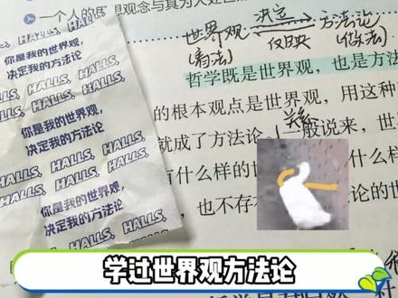 我们学政治的有话说...... #高中政治 #高中生 #中学 #学生党 #高中