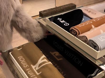 太喜欢这条LV的围巾了,真的已经火了好久#购物分享 #lv #秋冬穿搭 #秋冬新款