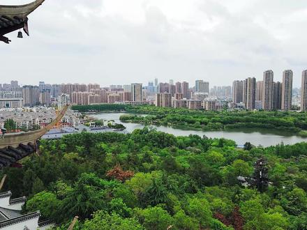 挑战在蚌埠12小时,能吃多少好吃的东西 #蚌埠 #特种兵旅行有多令人着迷 #旅行 #五一假期 #逛吃逛吃的一天 @DOU+小助手