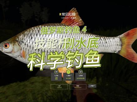 俄罗斯钓鱼4 科学钓鱼上蓝稀有鱼 #俄罗斯钓鱼4 #