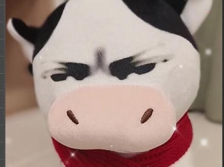 草地牛卷卷来袭!这表情太抽象了,笑到扶额~ #草地牛玩偶 #抽象表情包 #可爱牛抱枕 #冬天解压 #牛牛家族