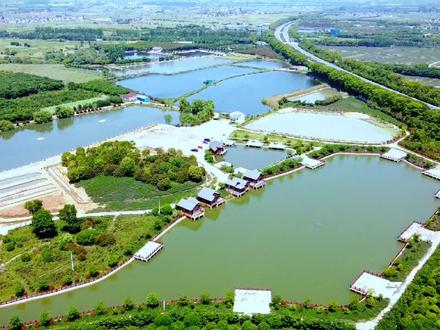 延陵庄湖湿地#实景拍摄