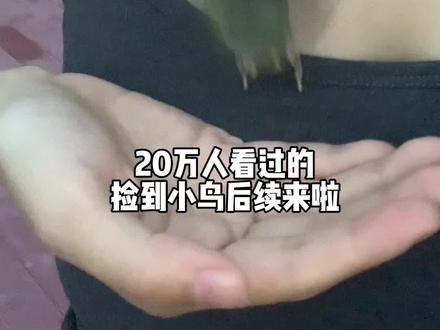 掉落在我身上的小鸟🥹跟我亲生的有什么区别