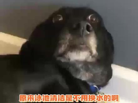 OMG!原来泳池清洁是不用换水的啊😮