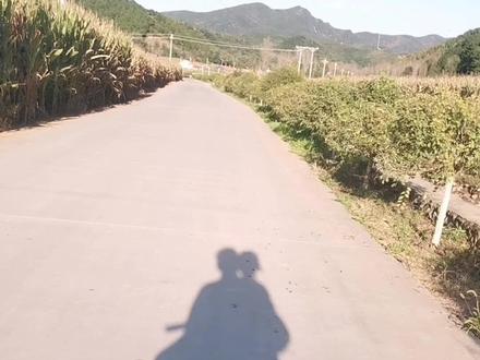 接孩子放学,跟八岁的女儿头挨着头,向着回家的方向,真希望时间停留在这。#美好生活守护者