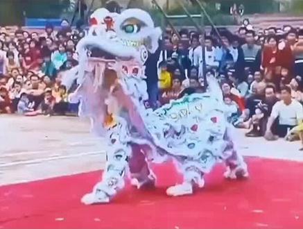 醒狮文化 ,危险动作请勿模仿