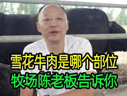 雪花牛肉是牛的哪个部位?牧场陈老板告诉你#鲜牛肉 #生鲜牛肉 #牛肉 @DOU+小助手