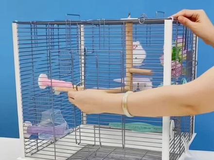 47cm赛博银4747开顶横线刺星球立柱基础鹦鹉鸟笼虎皮牡丹玄凤笼#鹦鹉笼 #鸟笼 #宠物用品 #牡丹玄凤笼 #萌宠好物