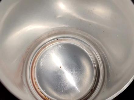 小时候上课偷吃藏零食的隐蔽位置(二十五) #童年零食