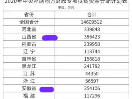 2020年中央补助地方财政专项资金