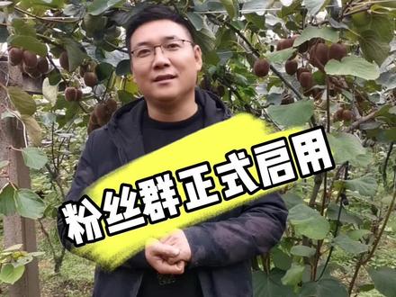 粉丝群正式建立,欢迎大家进群交流#周至猕猴桃 #乡村振兴dou行动 #抖音新农人2022 #武鲜生 #景浩农业