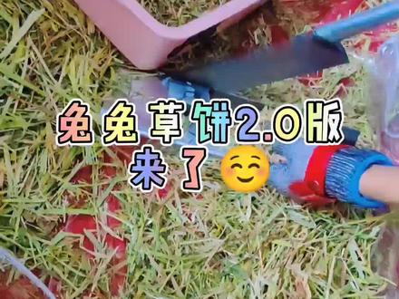 2.0版的兔兔草饼终于来了哈哈哈 #兔子草饼
