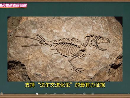 生物的进化(1) #自学视频#2026版北师大版生物学#八年级下册生物学自学课件 #自学秘籍#生物的进化