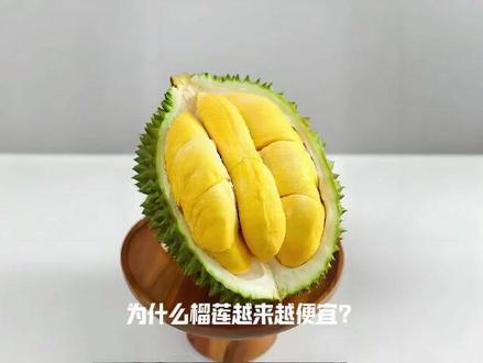 为什么榴莲越来越便宜?