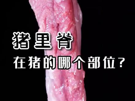 猪里脊小知识,你学会了吗?🤗#每天都是新鲜食材 #好食材好味道