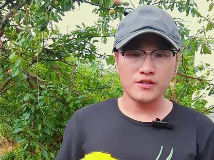 鹦鹉吃加纳利子真正意义上是补充什么?#手养鹦鹉 #加纳利子