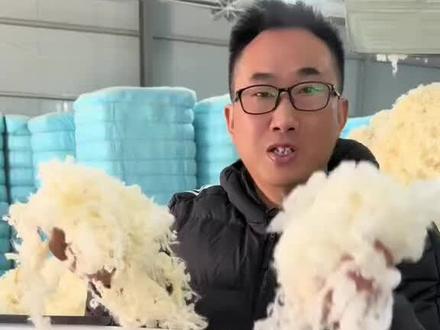 贪便宜买羊毛被,不是掺假就是用粗毛劣质羊毛填充,你看我说的对不对#臭皮匠郭哥羊毛被 #臭皮匠郭哥#羊毛被子#纯羊毛#秋冬被