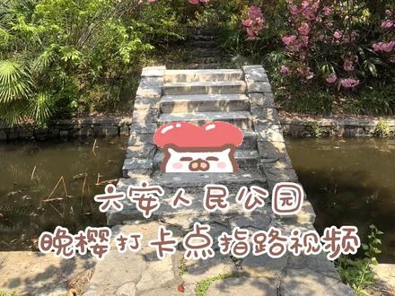 六安人民公园晚樱打卡路线攻略!#是谁打翻了大自然调色盘 #接下来的六安是这样的 #遇见六安的春天